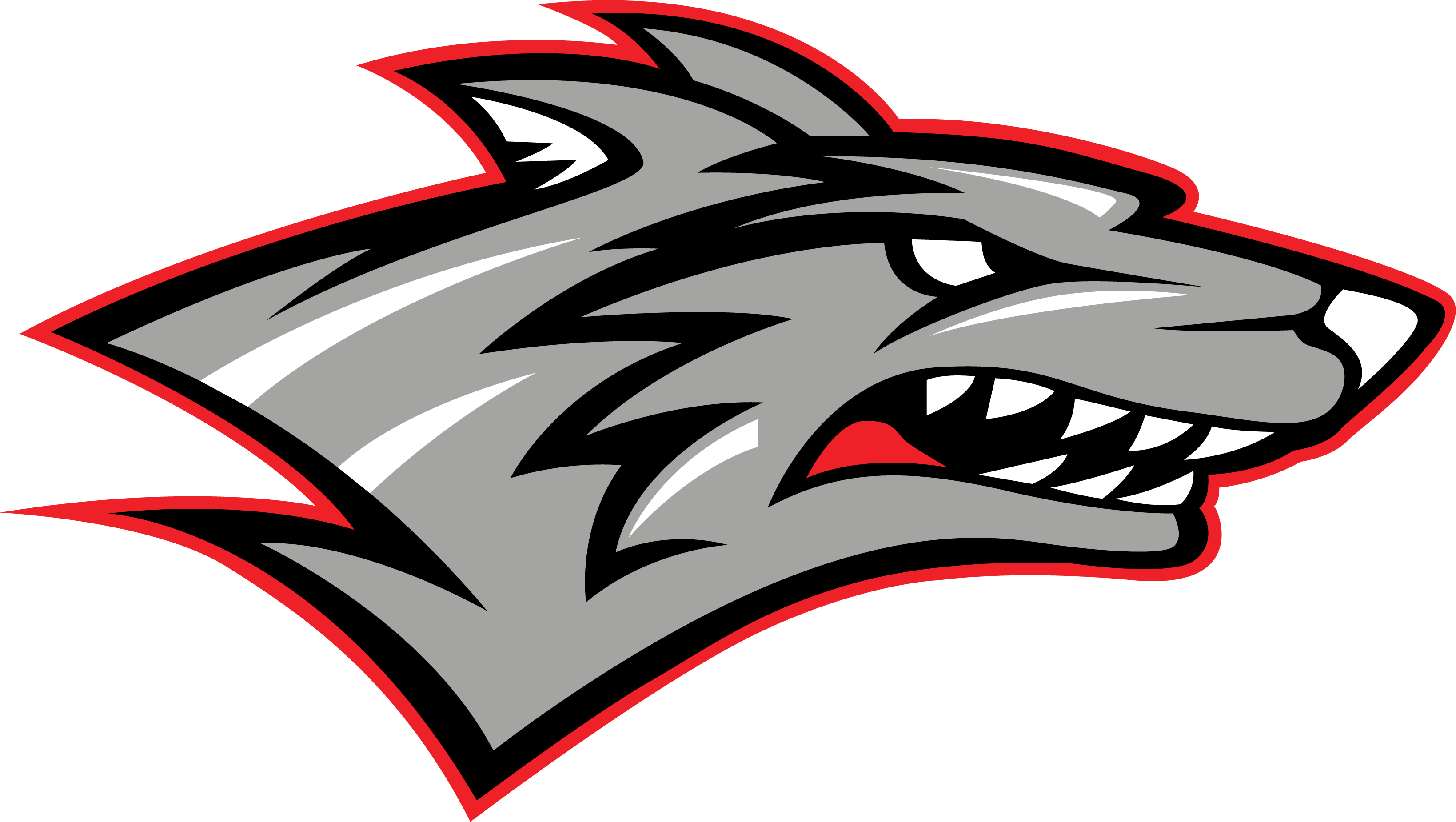 MHSAA Football Regional 21 Boyne City Vs Reed City Football Nov 15