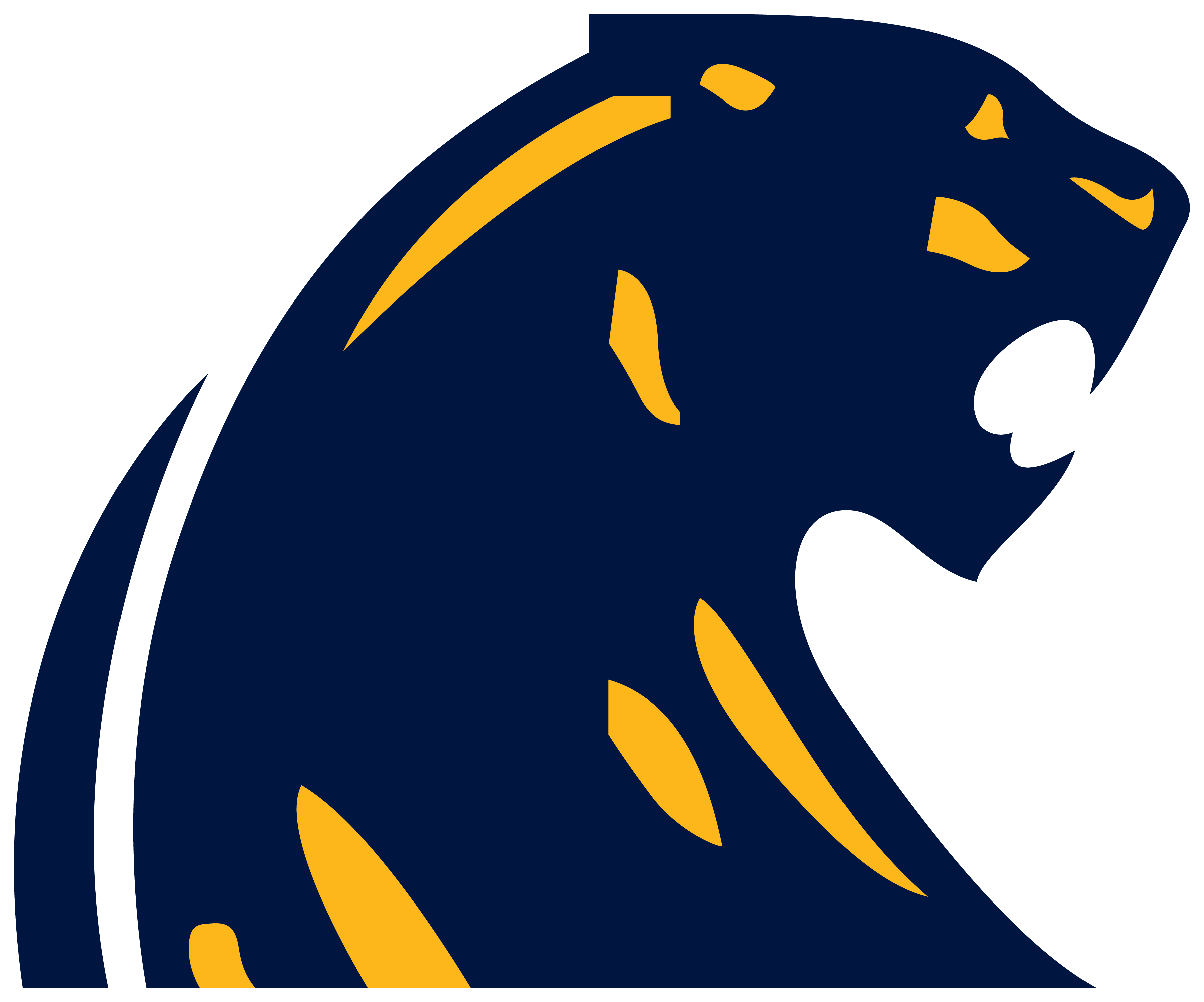 DeWitt High School Vs Caledonia High School Basketball Feb 27 2025