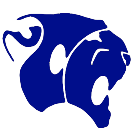 Colleton County Cougars vs Hampton County School District - Basketball ...