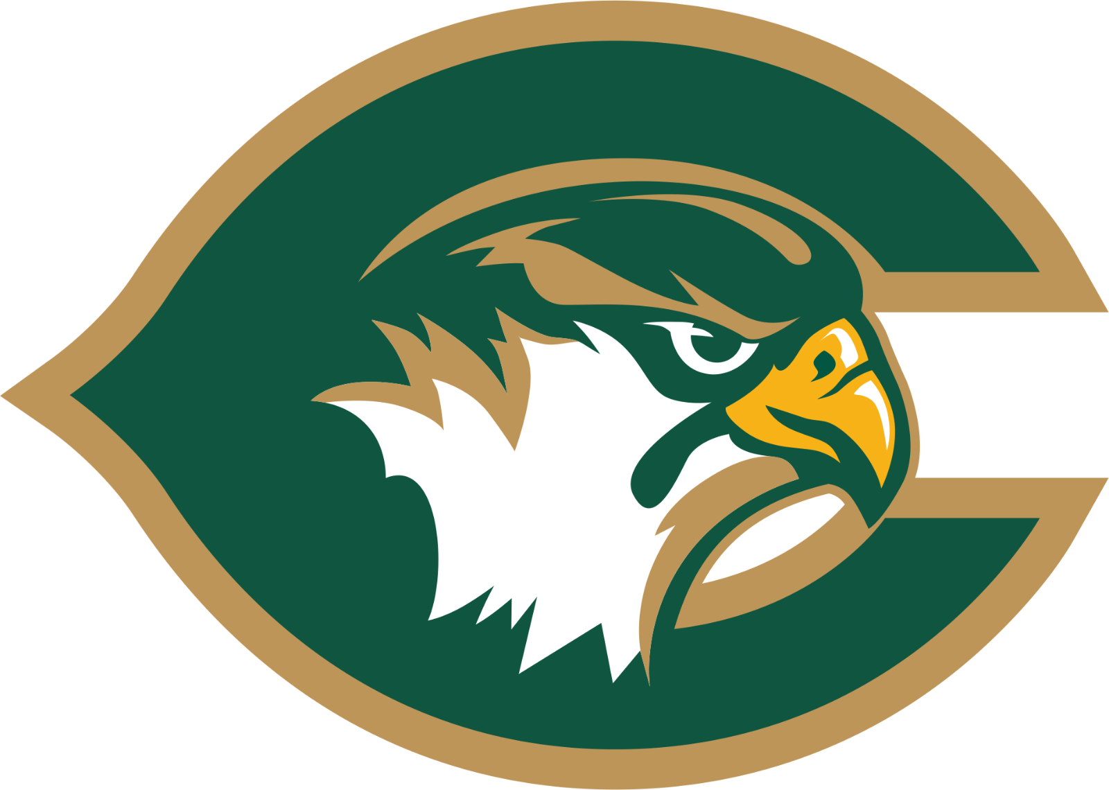 cox-camps-2025-week-4-july-7-july-10-art-boys-basketball-dance